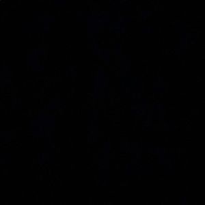 Meet your Posher, Ariel